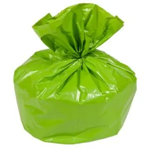 green-bag